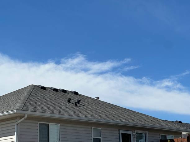 Best Roof Leak Repair  in Lake Cassidy, WA